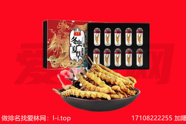 舟山普陀区回收虫草.jpg